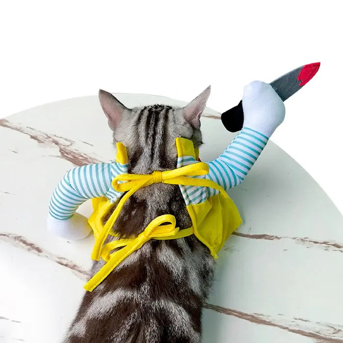 Cat Halloween costume rear view showing yellow tie straps and striped sleeves with raised knife arm.