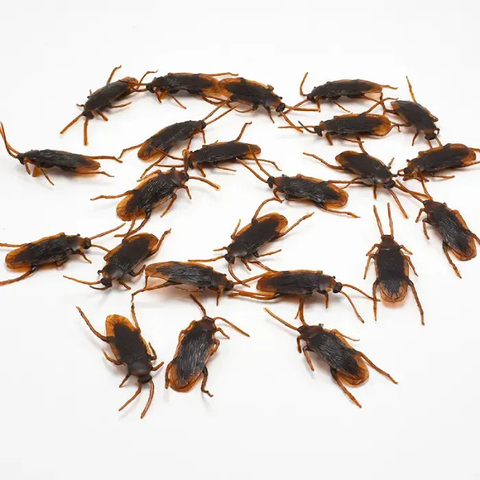 Large group of cockroach toy props arranged together for bulk prank or Halloween party use.