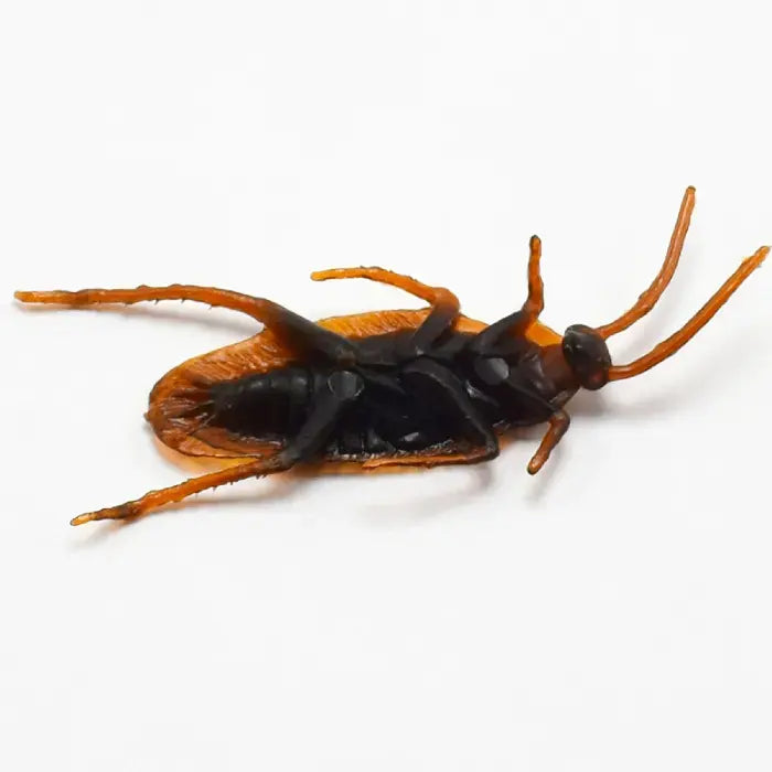 Cockroach toy with realistic black and orange body, ideal as fake insect for pranks or Halloween decor.