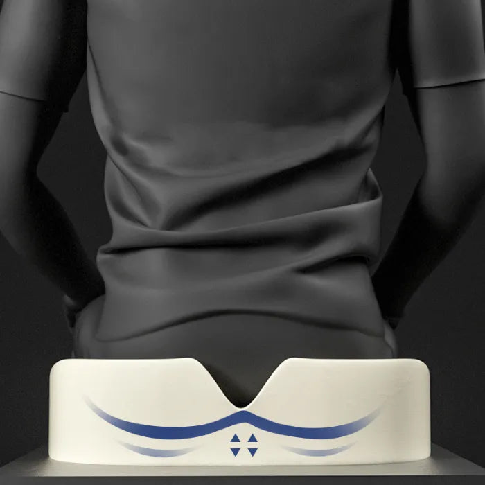 Anatomical illustration demonstrating ergonomic seat cushion design for optimal posture support and comfort