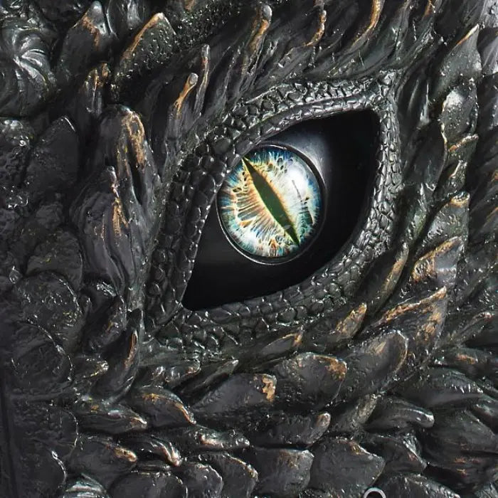 Decor book of dragons close-up showing glossy reptilian eye with multicolor detailing.