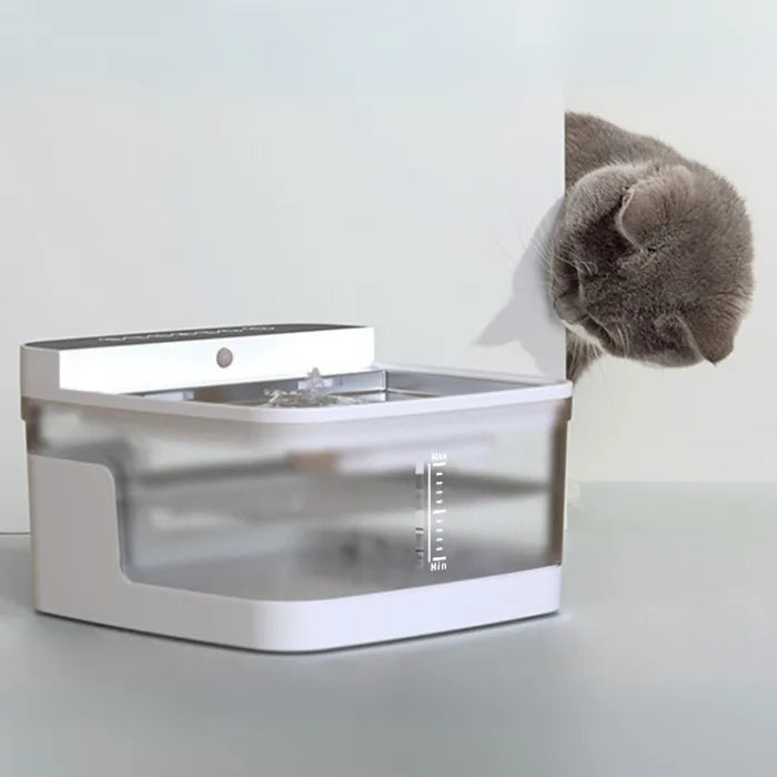 Cat inspecting modern pet water dispenser with clear water container and flow indicator