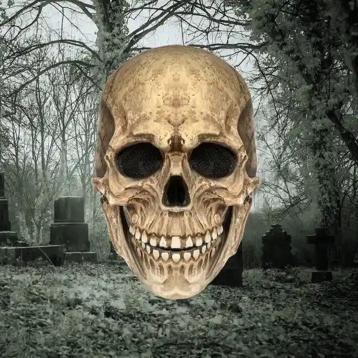 Front-facing skull mask with sinister grin in a fog-covered graveyard surrounded by leafless trees.