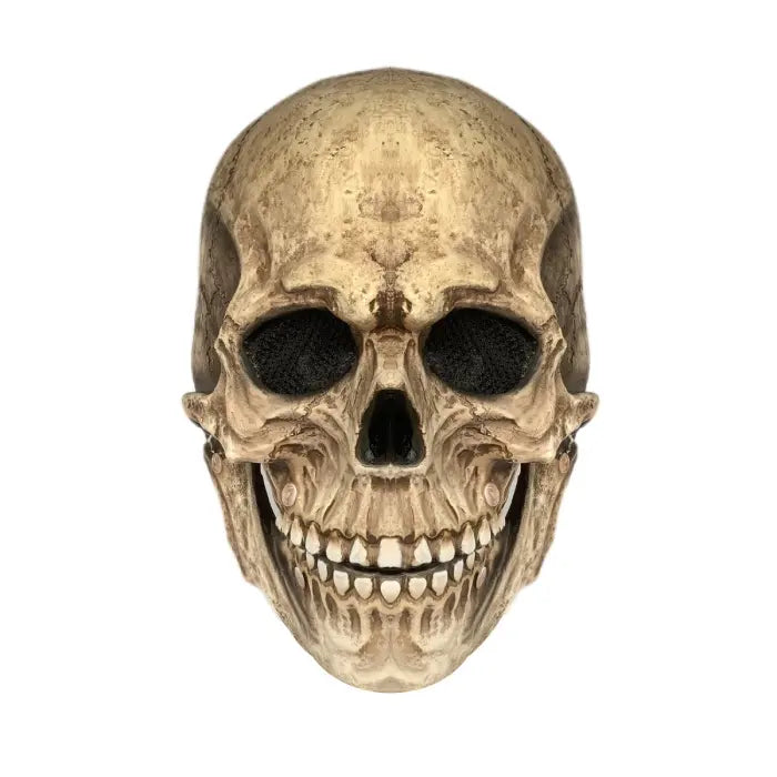 Detailed skull mask with prominent cheekbones and teeth shown from the front on white background.