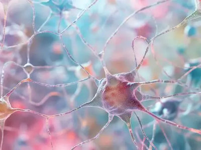 Artistic depiction of neural connections, highlighting the cognitive benefits of omega-3 fish oil.