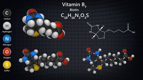 Chemical Structure of Biotin