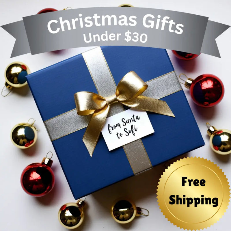 Christmas Gift Ideas under $30 including free shipping