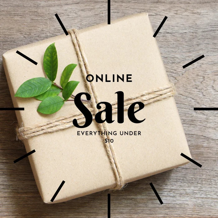 Sustainable wrapped gift box with green leaves and twine featuring online sale promotion for items under $10