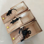 Wooden Prank Box with Realistic Spider for Big Laughs