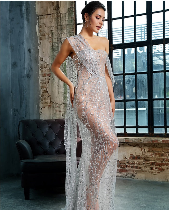 Evening Dresses: Silver Mesh Formal Gown for Women