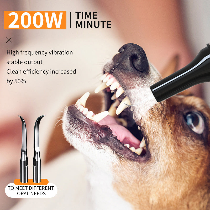 Pet teeth cleaner for easy at-home plaque and tartar removal.