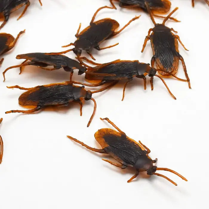 Close-up of multiple cockroach toys on white surface highlighting detailed wings and color pattern.