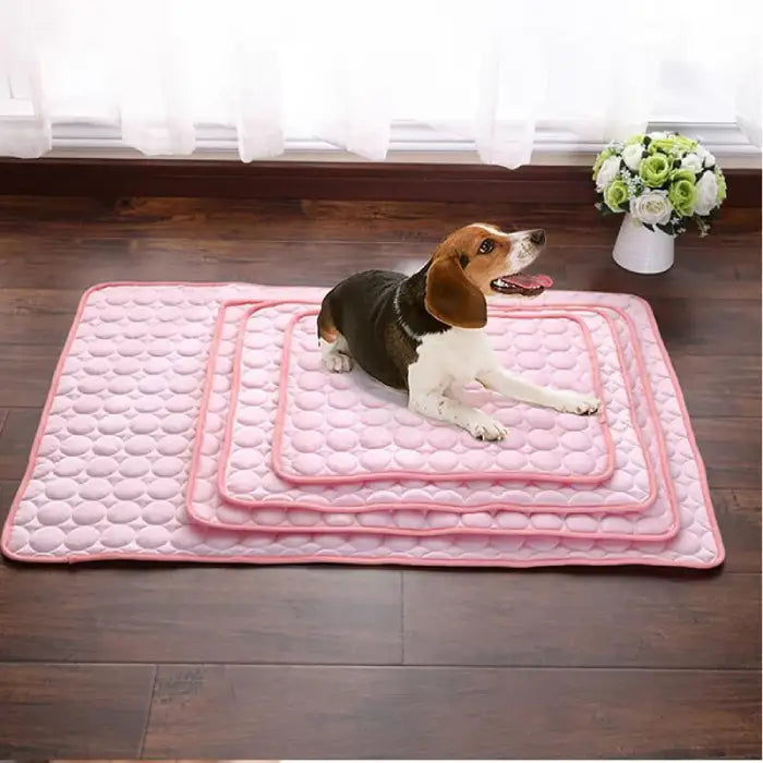 dog cooling mat in pink with beagle resting comfortably showing different size options arranged on wooden floor background