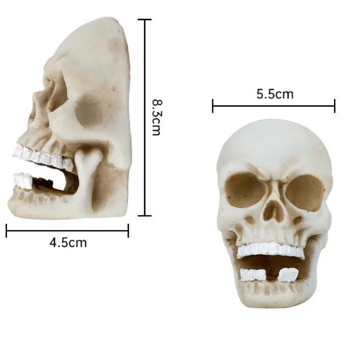 Halloween Ghost Skull mini props with open mouths and bone details, side and front views.