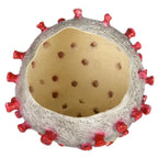 Halloween virus costume mask top view showing hollow interior with red spikes and gray textured surface.