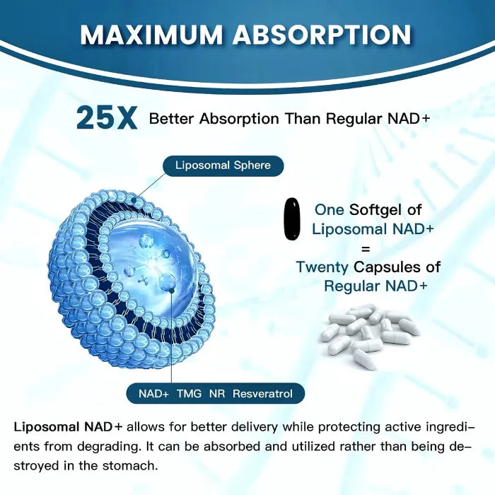 Detailed graphic comparing liposomal NAD+ capsules with regular for improved absorption.