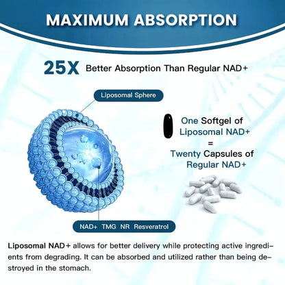 Detailed graphic comparing liposomal NAD+ capsules with regular for improved absorption.