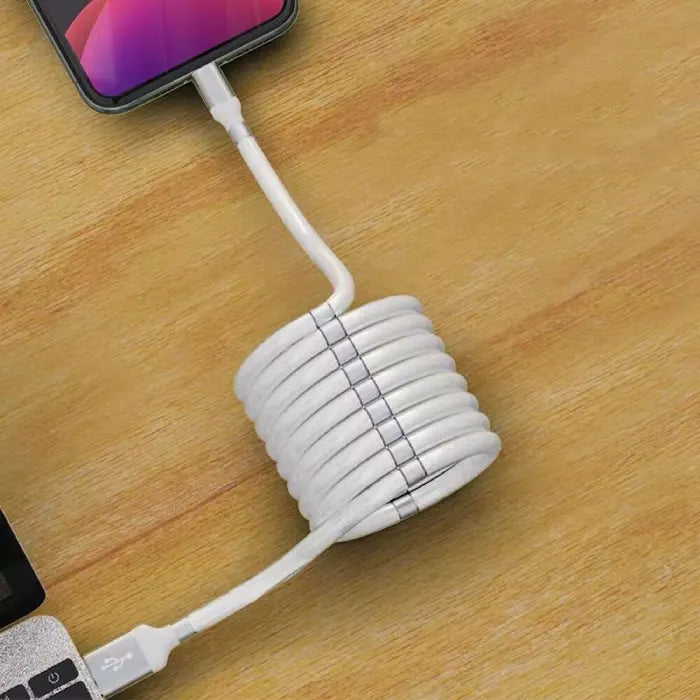 magnetic self coiling usb c charging cable displayed in a perfect loop design with flexible magnetic joints for easy storage