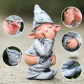 Detailed close-up shots of naughty garden gnome showing ears, hands, and playful expression.