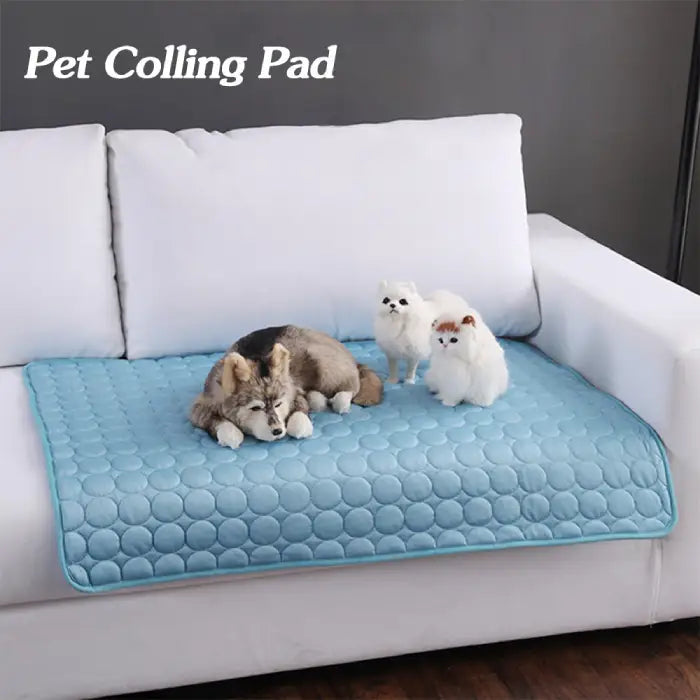 pet cooling pad placed on white sofa with husky dog and two small white cats demonstrating indoor use for multiple pets