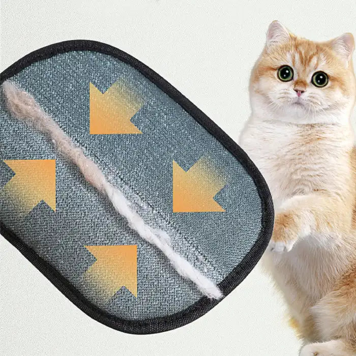  Pet hair remover glove showing bristle direction and lint captured next to curious orange cat