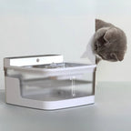 Cat inspecting modern pet water dispenser with clear water container and flow indicator