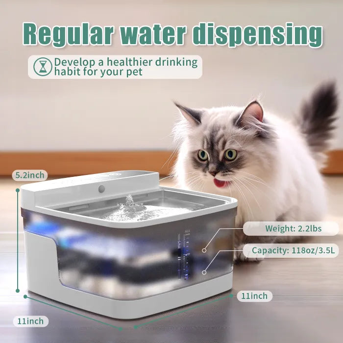 Compact pet water dispenser with regular water dispensing, 3.5L capacity, and healthier drinking habit