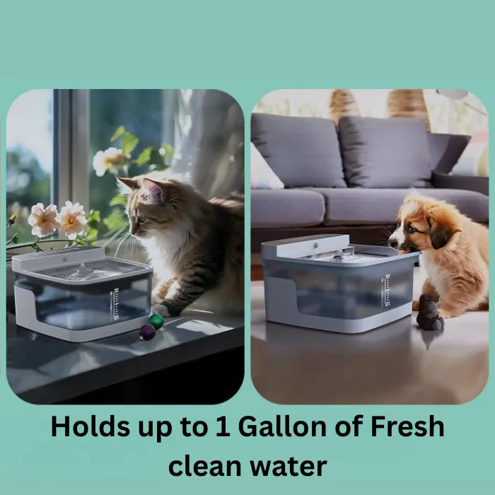 Pet water dispenser holds up to one gallon of fresh, clean water for cats and dogs