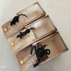 Three prank boxes with fake scorpion, lizard, and mouse popping out from wooden sliding lids.