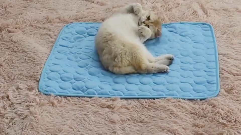 pet cooling mat in blue with cat