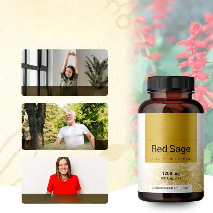 Amazing benefits of red sage supplement for breathing comfort, immunity and digestive health with product bottle