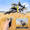 Remote Control Plane flying over wheat field with accelerometer and handheld controller in use.