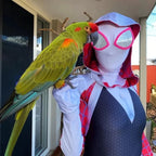 Spider-Gwen costume with bright parrot perched on shoulder in outdoor setting.
